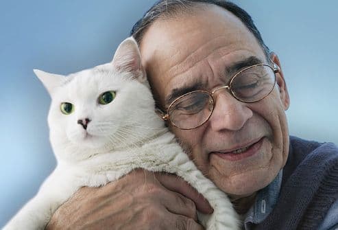 १. मांजर जगातील सर्वात लोकप्रिय पाळीव प्राणी आहे.