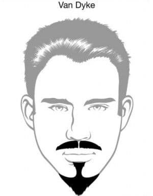 १३. वॅन डायक