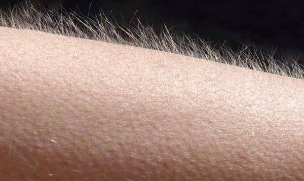 मानवी शरीरातल्या या चार गोष्टींचा खरंतर माणसाला आता बिल्कुल उपयोग नाही..