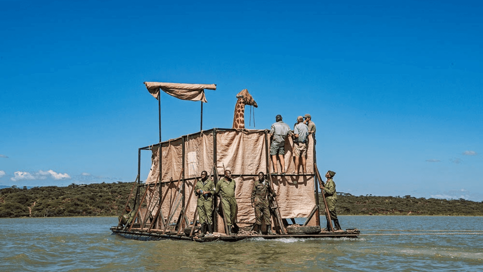 भूतदया -माणुसकी हरवत चालली आहे असं तुम्हालाही वाटतं का? मग नक्की वाचा ही कहाणी!