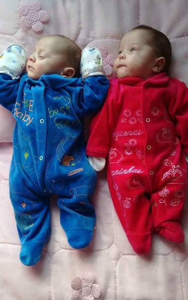 आईच्या मृत्यूनंतर १२३ दिवसांनी झाला जुळ्यांना जन्म.. कसा? मग हे वाचाच..