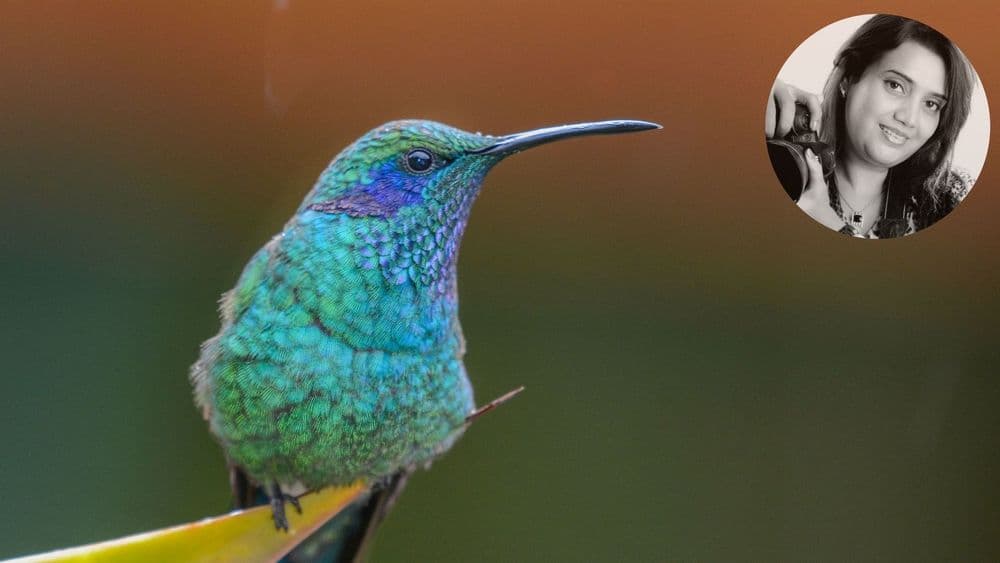 एक छांदिष्ट वाइल्ड लाइफ फोटोग्राफर सांगताहेत जंगलातल्या गमतीजमती…