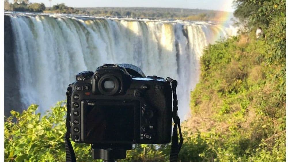 वाइल्डलाइफ फोटोग्राफीसाठी कोणता कॅमेरा व कोणती लेन्स घ्यावी? सल्ला देत आहेत हौशी वाईल्डलाईफ फोटोग्राफर..