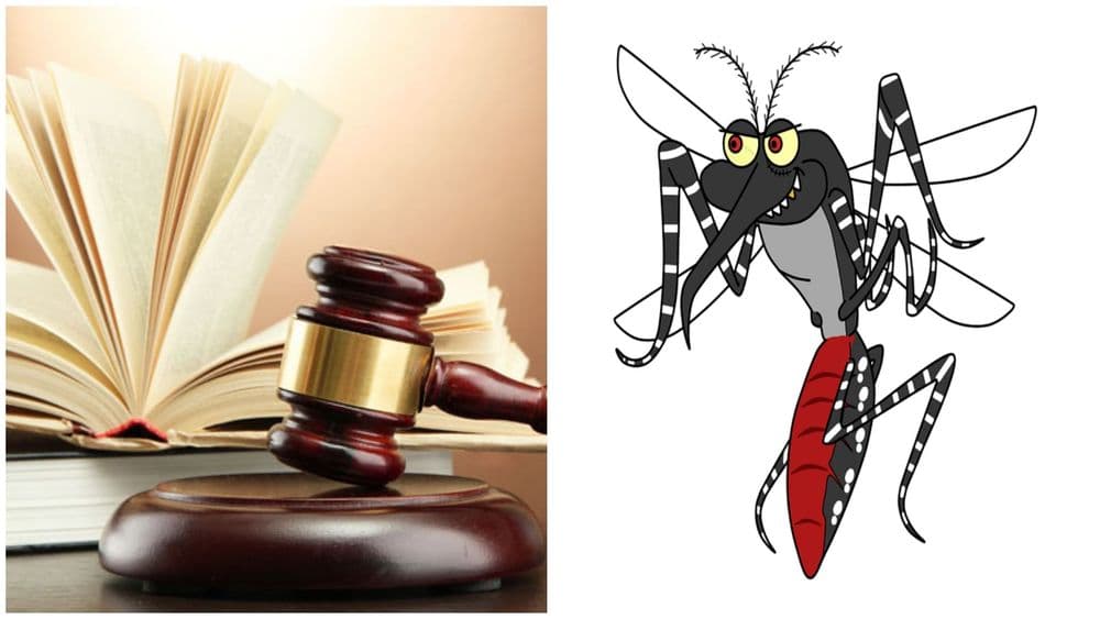 कोर्ट म्हणतं की डास चावणं हा अपघातच ! वाचा ही सनसनाटी केस !!