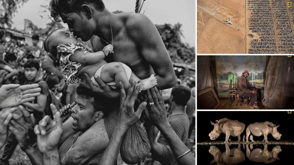 नॅशनल जिओग्राफीची फोटो स्पर्धा...पाहून घ्या कोण कोण कुठल्या फोटोंसाठी ही स्पर्धा जिंकलं ते !!