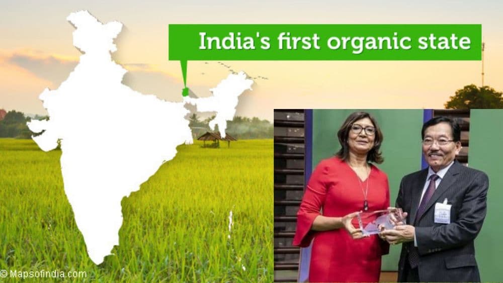 ६६,००० शेतकऱ्यांनी मिळवून दिलंय भारताला आंतरराष्ट्रीय सुवर्णपदक !!