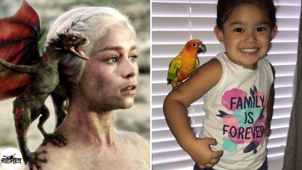 या पोरीने पोपटाला ड्रॅगनसारखे काय शिकवून ठेवलंय पाहा !!