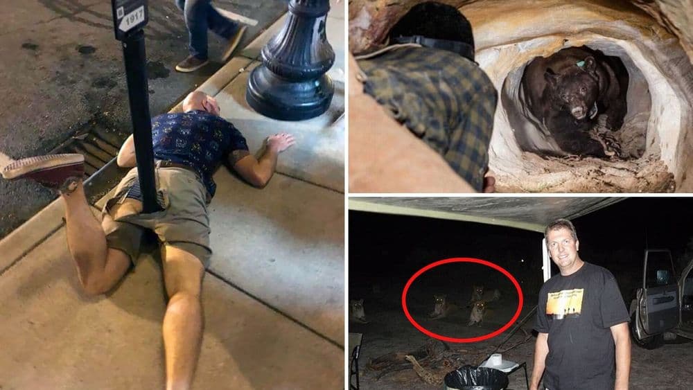 तुमचा दिवस या २० जणांइतका वाईट कधी गेलाय का?