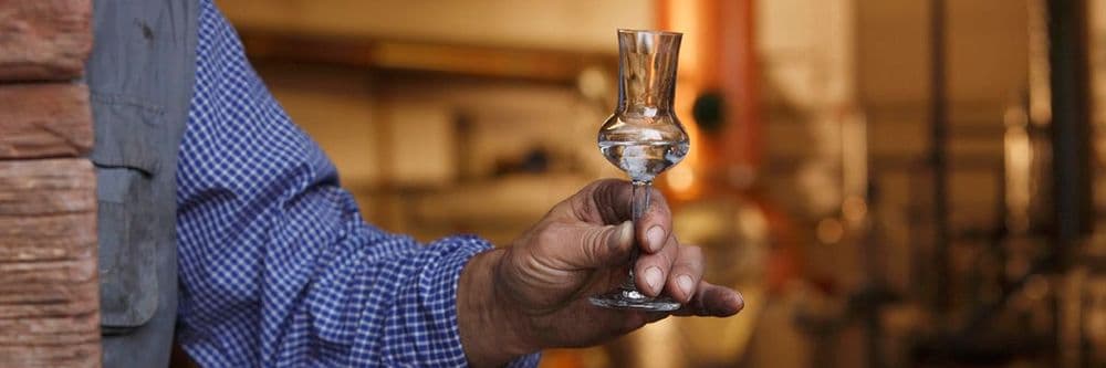 गटारी पेश्शल- अंगूरकी बेटी -ग्रापा