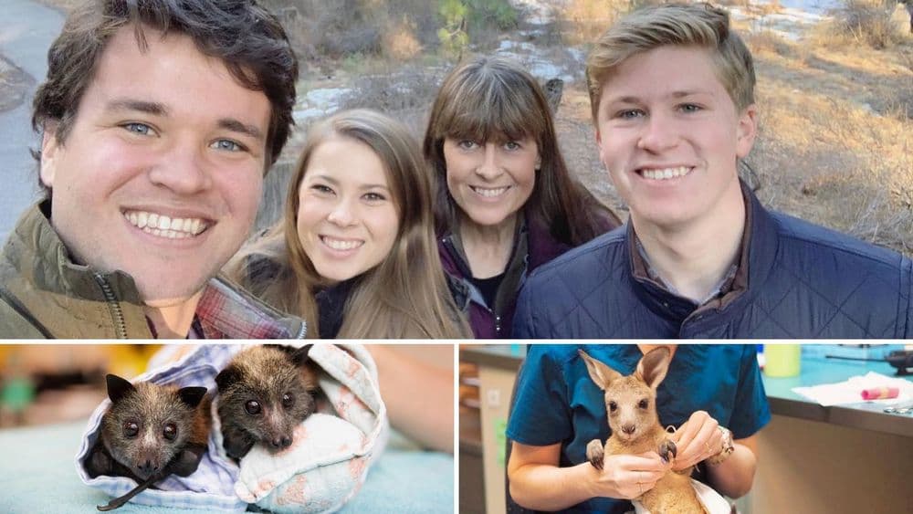 ऑस्ट्रेलियातील तब्बल ९०,००० प्राण्यांना वाचवणारं कुटुंब !!