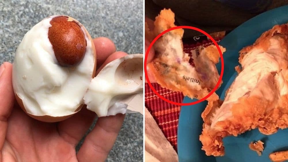 या १० वस्तूंच्या आड काय दडलं होतं पाहा? तुम्हालाही असं कधी सापडलं आहे का?