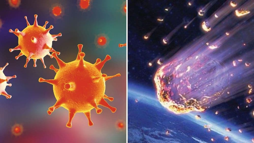 धूमकेतूंनी झाडलेल्या पायधूळीतून अवकाशातील व्हायरस पृथ्वीवर येतात का ?