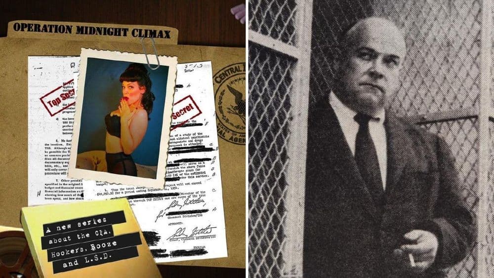 प्रोजेक्ट MK Ultra - ५ : ऑपरेशन मिडनाइट क्लायमॅक्स, अमानुष प्रयोग आणि प्रयोगांचे बळी!!