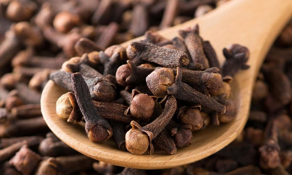 सगळ्यांना माहित असायला हवेत लवंगेचे ६ महत्त्वपूर्ण औषधी उपयोग!!