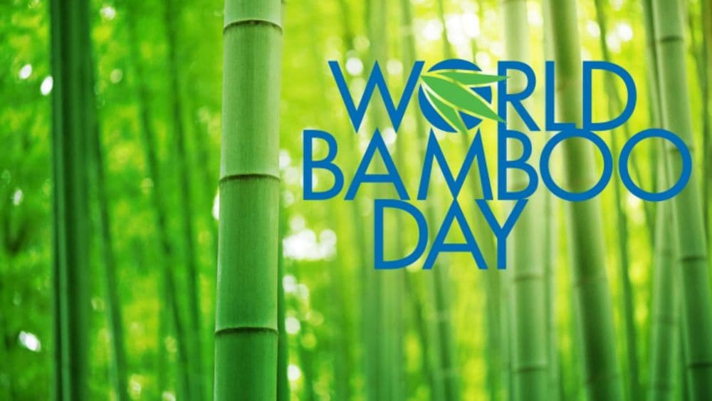 बोभाटाची बाग - भाग १९ : जागतिक बांबू दिनाच्या निमित्ताने बांबूची लागवड, फायदे आणि सरकारी योजना जाणून घ्या!!