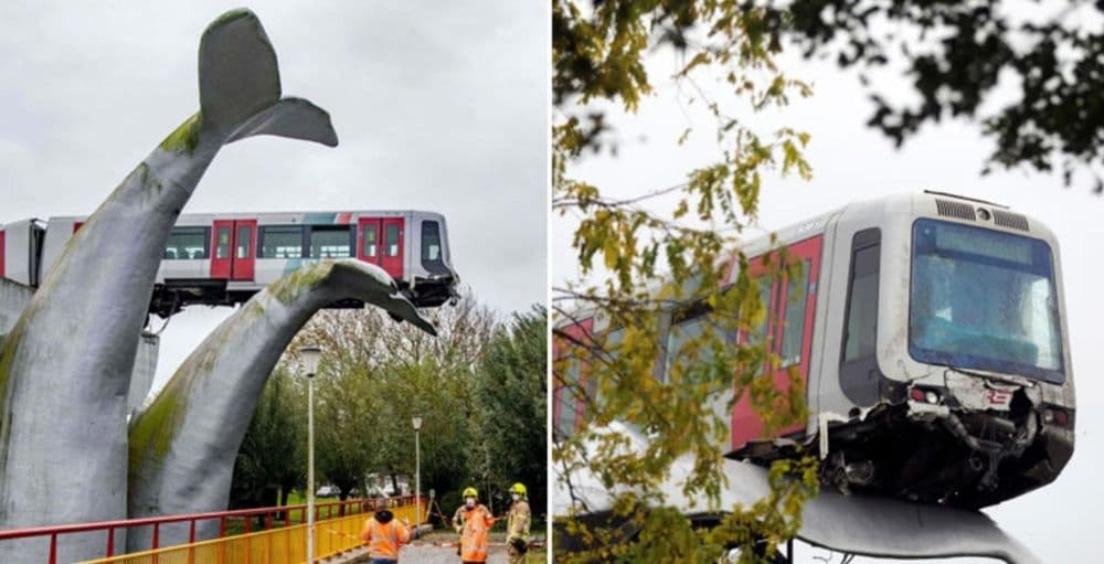 ती मेट्रो ३० फुटांवरून खाली कोसळणारच होती, पण... कुठे आणि काय घडलं होतं?