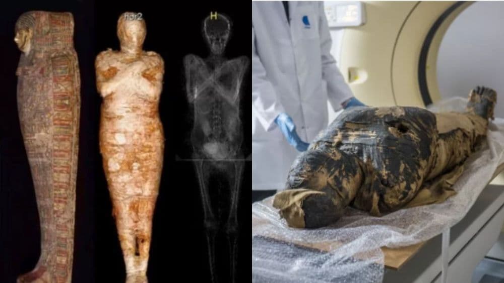 इतिहासात पहिल्यांदाच गरोदर स्त्रीची ममी सापडली आहे? कसा लागला हा शोध?