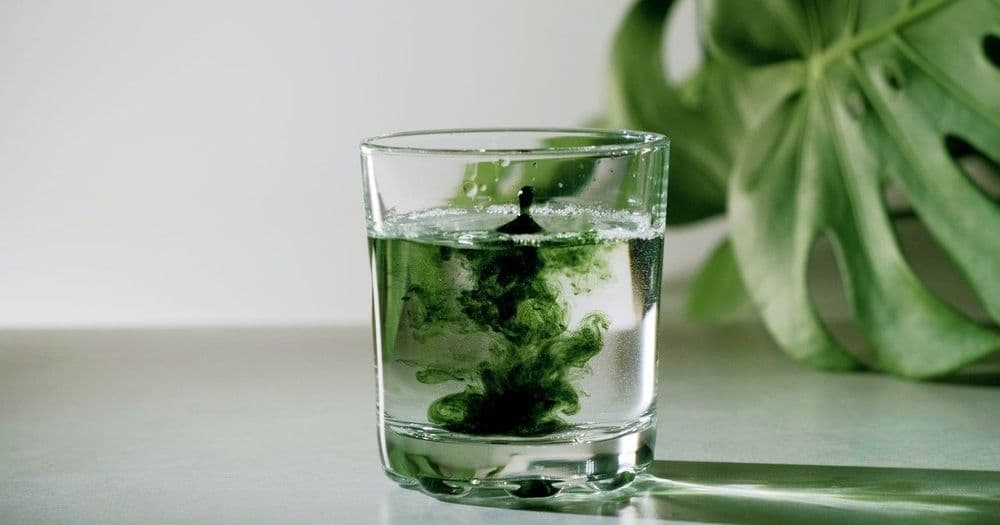 इंटरनेटवर व्हायरल होणारे कलोरोफिल काय आहे? ते शरीरासाठी फायदेशीर आहे का?