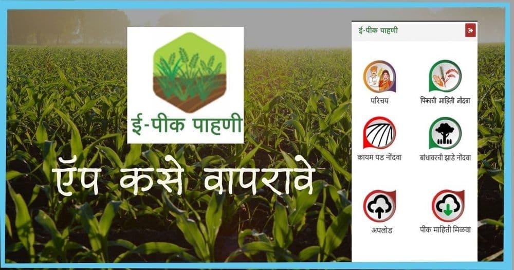 अशी करा पिकांची पाहाणी इ-पीक पाहणी या ॲपच्या माध्यमातून!!