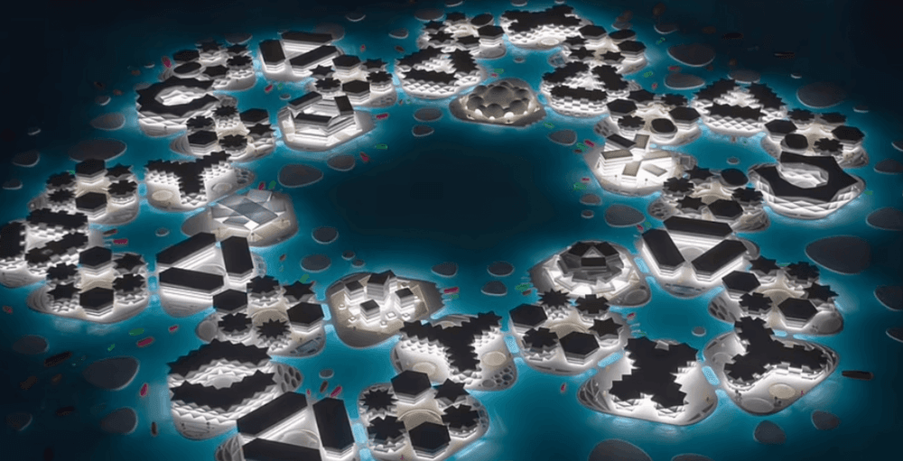 पाण्यात वसवलेलं जगातलं पहिलं तरंगणारं शहर!! काय, कुठे आणि कसे असेल हे शहर?