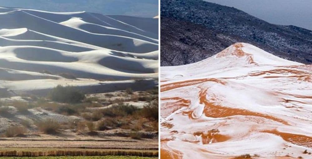 सहारा वाळवंट आणि सौदीच्या भयानक उष्ण ठिकाणी चक्क हिमवर्षाव होतोय!! फोटोही पाहून घ्या..