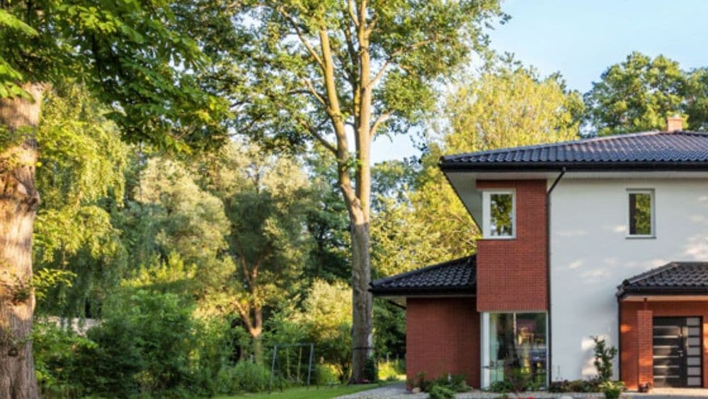 सर्वात जास्त ऑक्सिजन निर्माण करणारी ६ झाडे!! तुमच्या आसपास यातली किती झाडे आहेत?