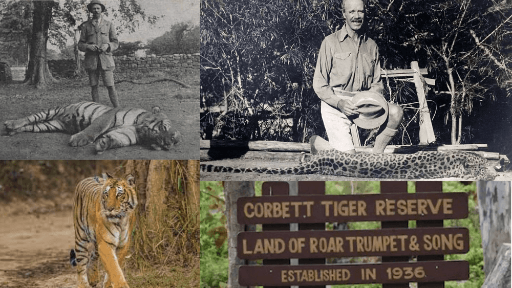 नरभक्षक वाघांना मारता-मारता वाघांच्या प्रेमात पडून संवर्धनासाठी काम करणारे जिम कॉर्बेट!! तुम्हांला त्यांच्याबद्दल काय माहित आहे?