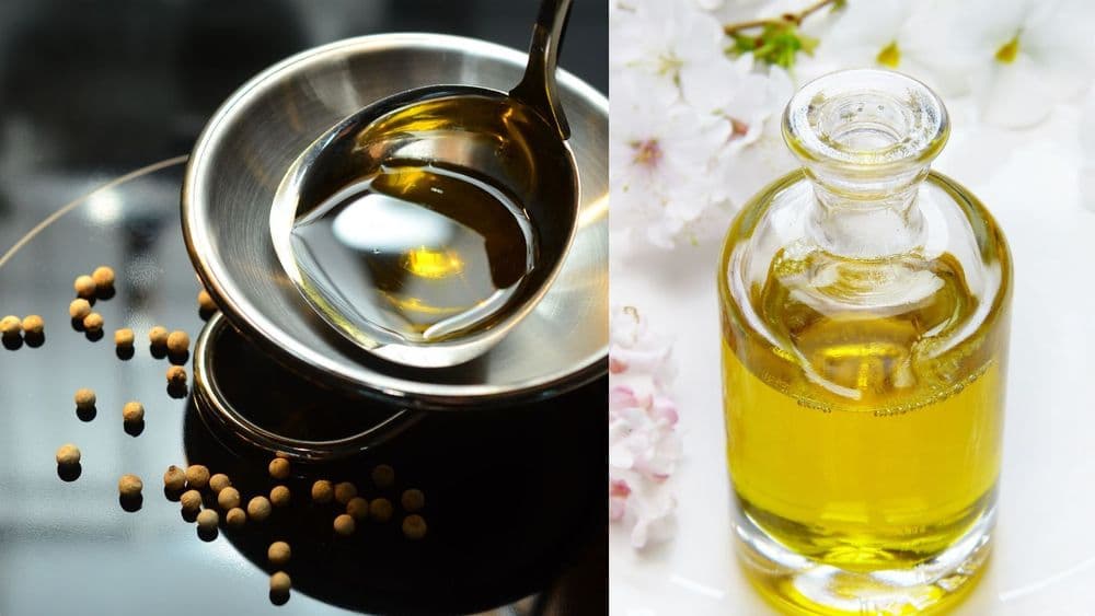 खाद्यतेलाचे हे विविध प्रकार तुम्ही कधी वापरले आहेत का? त्यांचे फायदे तुम्हाला माहित आहेत का?