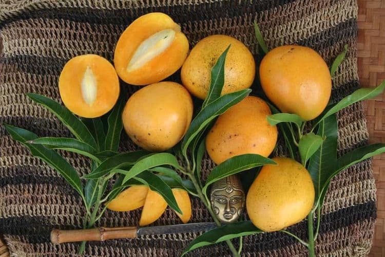 ११. तामिळनाडू