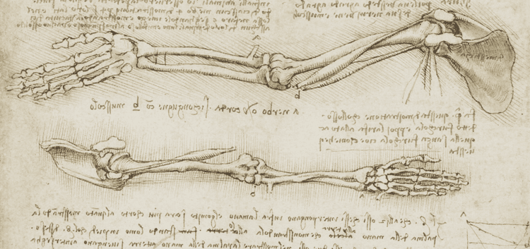 ४. लिओनार्दो यांना एकावेळी एका हाताने लिहिणं आणि दुसऱ्या हातांनी चित्र काढणं दोन्ही गोष्टी यायच्या.
