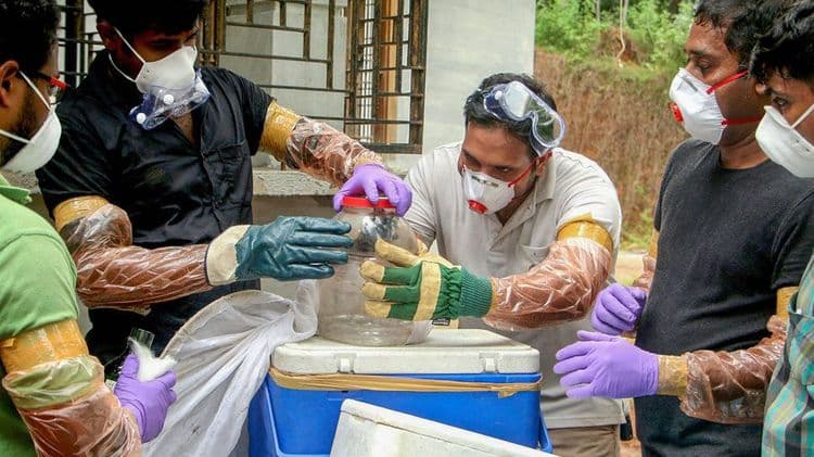 ५. पुन्हा २०११ साली बांगलादेश मध्ये रोगाची लागण झाली आणि तब्बल ५० लोक मारले गेले. पण रोगाचा उगम आढळला नाही.
