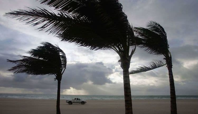 २. यलो अलर्ट