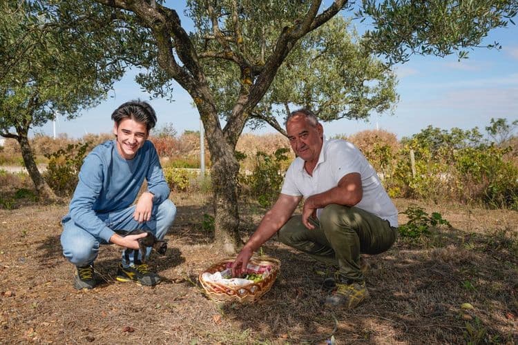 या फ्री ट्रीप मागचं कारण काय आहे ?