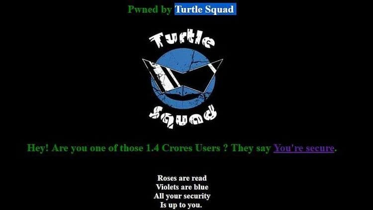 ३. Turtle Squad