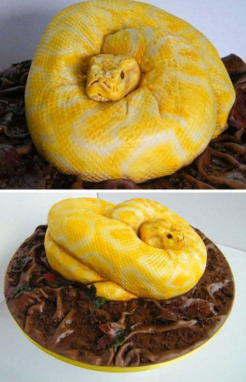 १२. खतरनाक