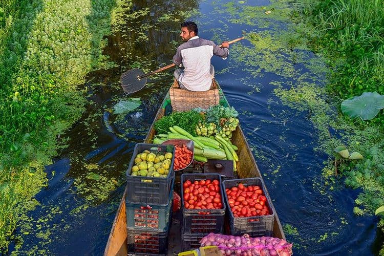 उत्पन्नाचं मुख्य साधन