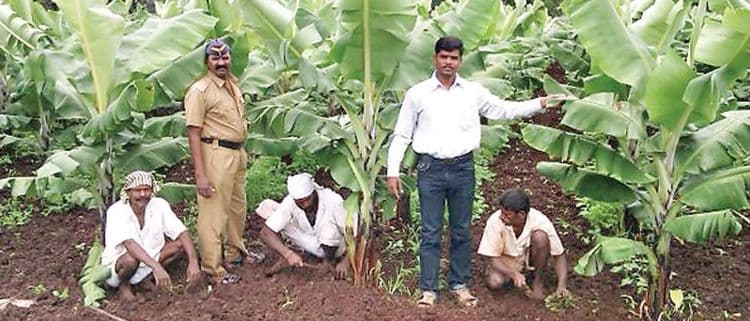 दो आंखे बारा हाथची प्रेरणा असलेलं सांगली जिल्ह्यातलं ८०वर्षं जुनं खुलं कारागृह!! का, कुणी, नक्की कुठे सुरू केलं हे?