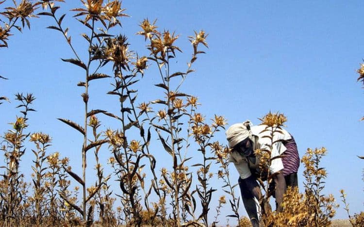 आपण आता मुख्य मुद्द्याकडे वळूया की आता हा आंतरराष्ट्रीय प्रश्न कसा निर्माण झाला आहे?
