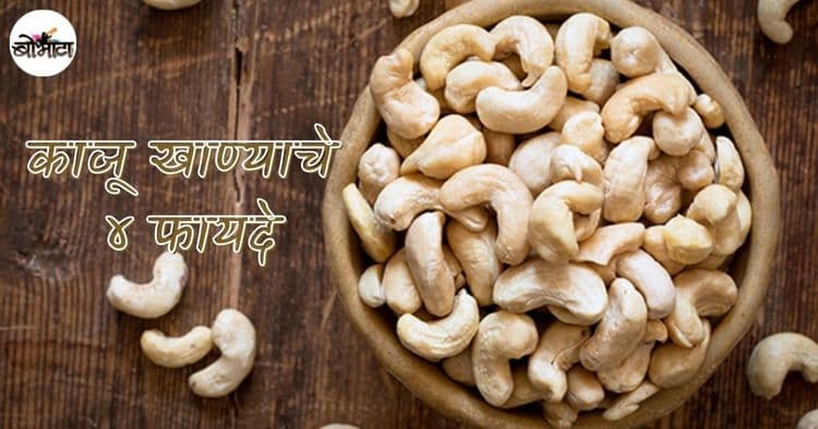अन्नपदार्थांना वेगळी चव देणाऱ्या काजूचे हे ५ फायदे माहित आहेत का?