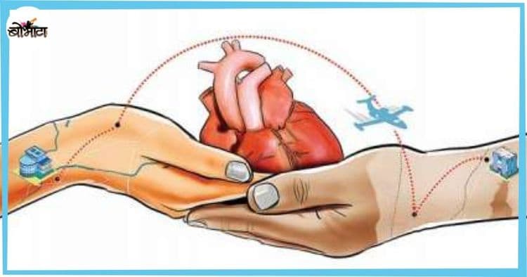 हृदयप्रत्यारोपण म्हणजे काय? हृदयप्रत्यारोपणाआधी कोणत्या गोष्टी गरजेच्या आहेत?