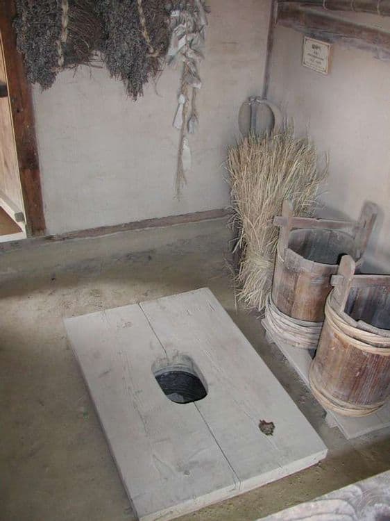 कोरियन लोकांचा पिट कमोड –