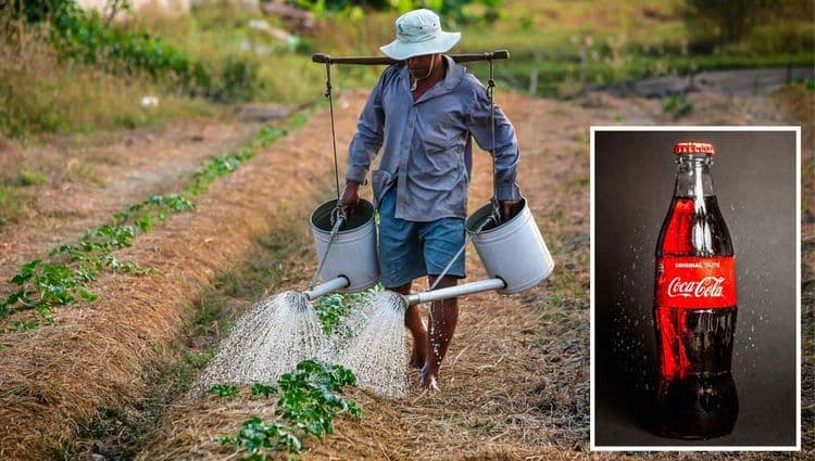 २२. कोकाकोलाचा अजून एक महत्त्वाचा फायदा म्हणजे आजकाल भारतातील शेतकरी आपल्या पिकांचे संरक्षण करण्यासाठी त्याचा मोठ्या प्रमाणावर वापर करत आहे. महागड्या कीटकनाशकांच्या तुलनेत कोकाकोला स्वस्त असल्यानेे शेतकर्यांना तो परवडतो. कोकाकोलामध्ये असलेली साखर मुंग्या
