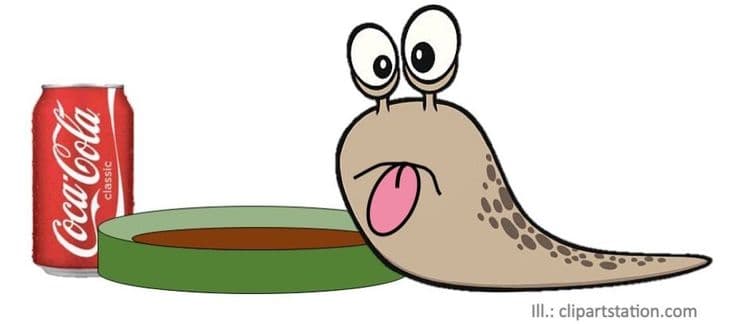 ६. बागेतील झाडाझुडपांचे नुकसान करणार्या गोगलगायींना मारण्यासाठी त्यावर कोक ओता. कोकमधील अॅसिडमुळे त्या मरतात.