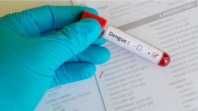 डेंग्यूचा नवा व्हेरिएंट धोकादायक का आहे?डेंग्यूच्या आणि कोरोनाच्या लक्षणातला फरक कसा ओळखावा?