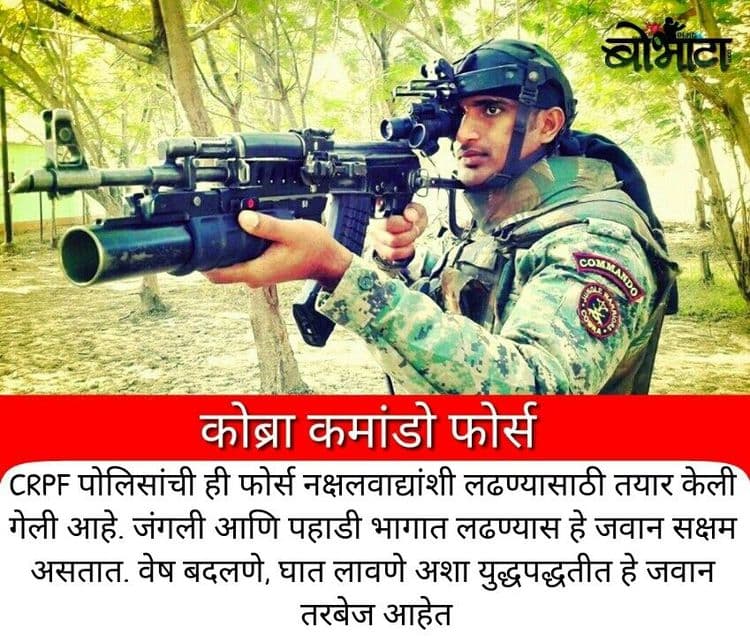 ३. कोब्रा