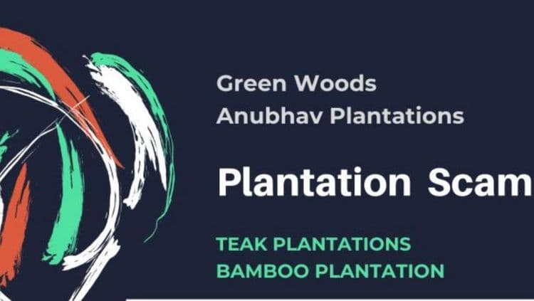 प्लँटेशनवाल्यांनी गुंतवणूकदाराचा बळी दिला !