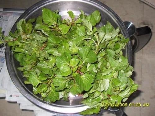 ३. कुरडू