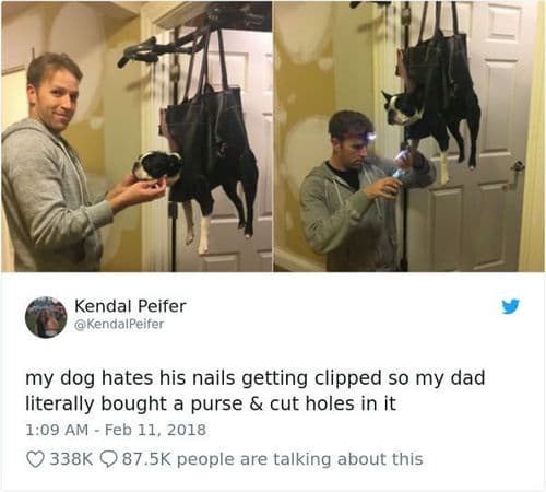 १. काय आयडिया आहे राव.