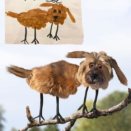 ७. कुत्रा