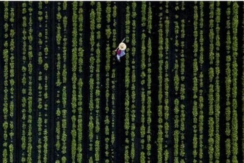 १४. कम्प्यूटर प्रोग्राममध्ये अडकलेला माणूस की आणखी काही?